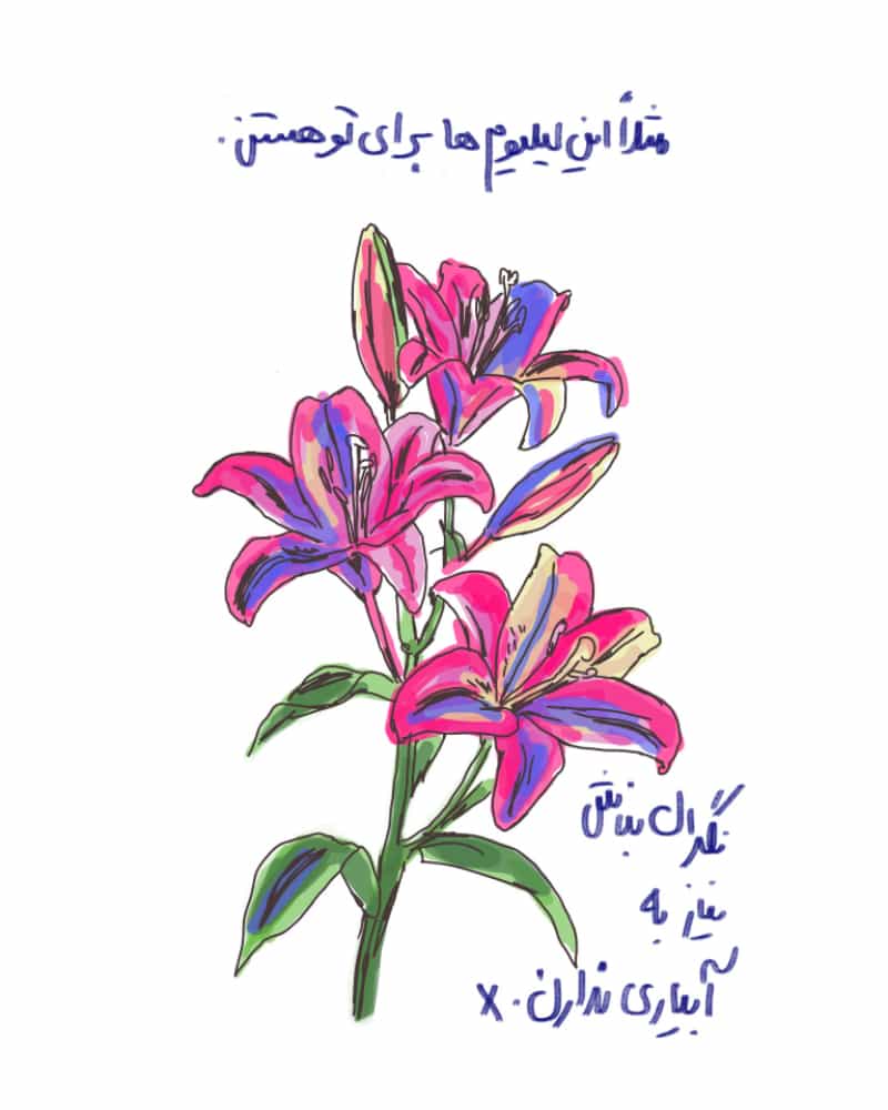 کارت پستال لیلیوم های مستقل