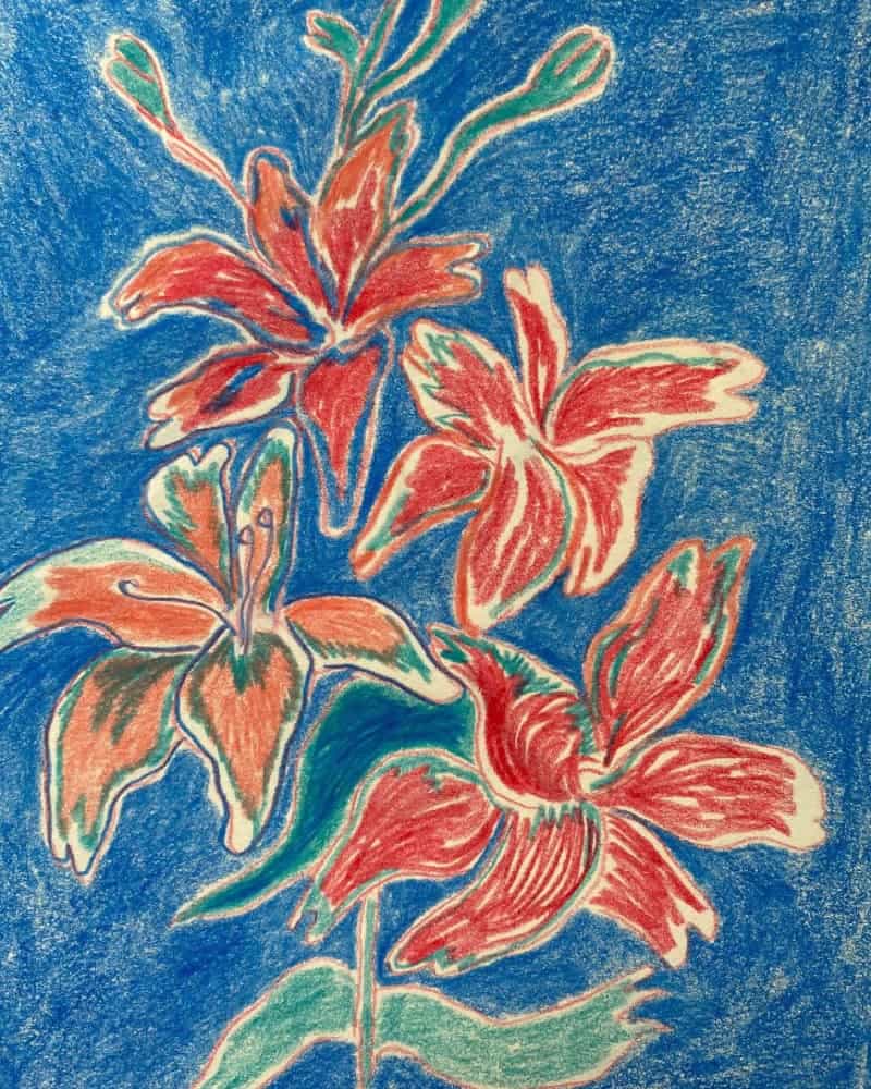 کارت پستال گل های شناور